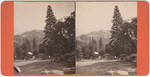 [Buildings in mountain forest area, Mariposa Co.]