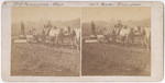 [Construction of Mt. Hamilton Road, horse team]