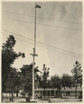 [Bear Flag flying over Plaza Park, Sonoma]