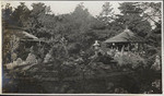 Japanese Tea Garden. Golden Gate Park