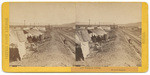 Chinese camp. Brown's Station, 313