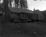 [Cabin at Shaver Lake]