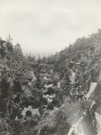 G.W. Wattles' Japanese garden