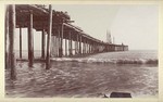 [Pier at Ventura]