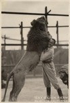 Gay's Lion Farm El Monte, California # 15