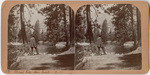 Merced River - near camp - Y. V., [no.] 32