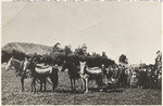 Breaking ground Jan 19 1902 [sic] for Potter Hotel. Milo M. Potter at plow.