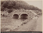 Rustic bridge, Golden Gate Park Lake, San Francisco, Cal., 7254