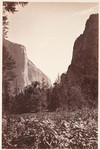 Tutochahnulah Pass, El Capitan and Inspiration Point