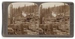 Saw mill in the big tree districts, and stumps of some of the giant Sequoia, Millwood, Cal.