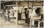 Cutting Peaches, Reedley, Cal.