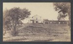 San Diego Mission and olive trees 120 years old.