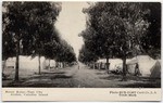 Street Scene--Tent City Avalon, Catalina Island