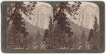 Ribbon Falls (2,000 ft. leap),looking N. from the Valley near Merced River, Yosemite, Cal., (3)6019