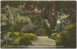 A glimpse of the garden and moorish house, Paul de Longpre's residence Hollywood, Cal. in winter