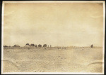 Sellers & McCracken. Sacramento. General view of nursery