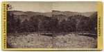 Canyon of Amer. river from west-Cape Horn and R.R. on left. # 38.