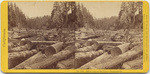 Jam of logs on Big River, - Mendocino Co., no. 1150