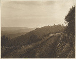 A view of the Carmichael road on the line of survey of the Park road. This road is built for two and one half miles. Is of good grade but narrow. I shows good road material for surfacing