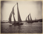 [Sailboats near port]