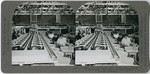 Oranges 14. - Automatic sizer distributing oranges to sizing bins. Lamanda Park, Los Angeles County, California, 48