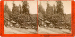 Glenwood Magnetic Springs, Santa Cruz Co., Cal. Hubert & Luff, proprietors, 5021