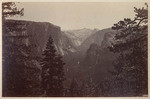 Yosemite Valley, from the Mariposa Trail