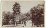 Corner of Figueroa and Washington Sts. 836.