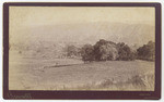 [Goleta Valley]