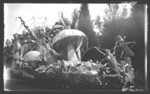 [Parade entry close-up of cricket, mushrooms, spider web float)