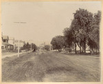 [Adams Street, Los Angeles]