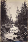 Merced River, from Pohono Bridge