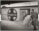 [Shipping potatoes at Shafter, Calif.]