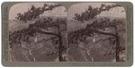 Nevada and Vernal Falls, and Cap of Liberty - from Glacier Point (E.S.E) Yosemite Valley, Cal., (17)