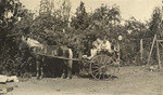 [San Joaquin County Library, Orchard Station] (2 views)