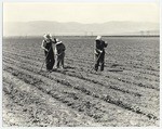 Field workers