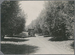 Olive Drive, Kearney Park, Fresno, Cal.