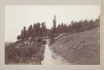 [View of Elysian Park along trail]