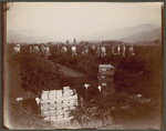 [Picking tomatoes, farm of O.P. Yont, Glendora, California]