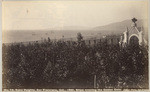 Sutro Heights, San Francisco, Cal., 1886, ships entering the Golden Gate, no. 29