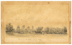 Sacramento City, July 1849