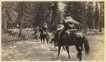 Kings River Ferry. Crossing the Upper South Fork