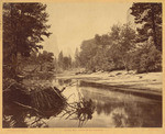 Sylvan Bar. Valley of the Yosemite, No. 16