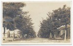 Tents and cottages, Warner Hot Springs, San Diego Co., Cal.