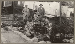 [Alfred Fuhrman with man and woman standing behind small landscape waterfall in backyard ]