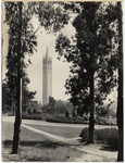 [Berkeley Campanile] (3 views)