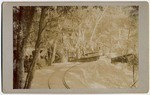 [Early passenger car on Mount Lowe Railway]