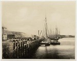 [Sailing vessels docked at San Pedro]