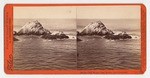 At the Cliff House, Seal Rocks, San Francisco. # 779.