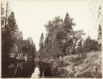 [Merced River], no. 35